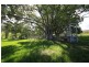 2471 Kangaroo Creek Road, Kangaroo Creek NSW 2460