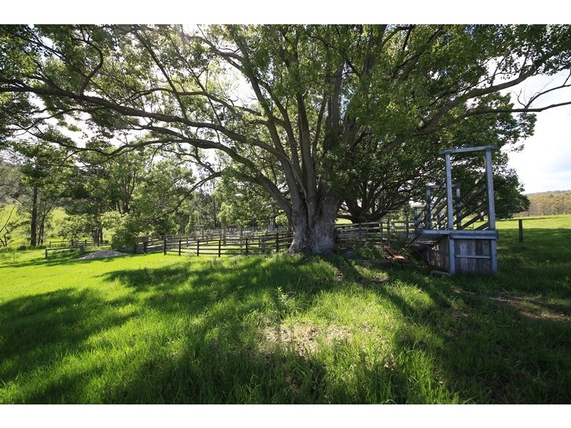 2471 Kangaroo Creek Road, Kangaroo Creek NSW 2460