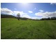 2471 Kangaroo Creek Road, Kangaroo Creek NSW 2460
