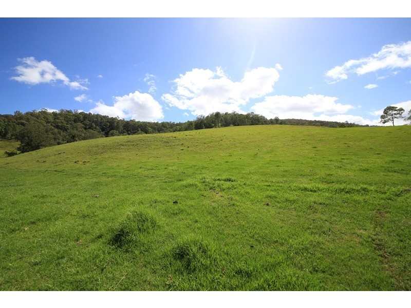 2471 Kangaroo Creek Road, Kangaroo Creek NSW 2460