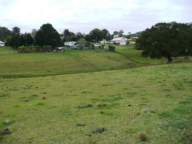 40 Grafton Street, Copmanhurst NSW 2460