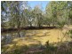 29 Sandy Swamp Road, Coutts Crossing NSW 2460