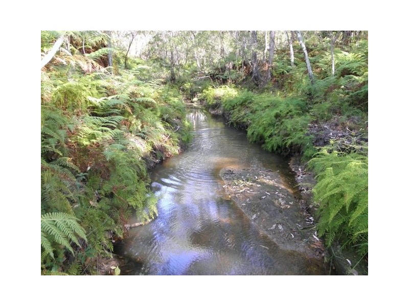 1290 Stockyard Creek Road, Stockyard Creek NSW 2460