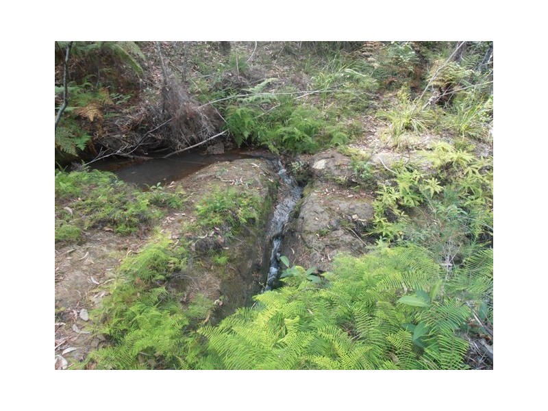 1290 Stockyard Creek Road, Stockyard Creek NSW 2460