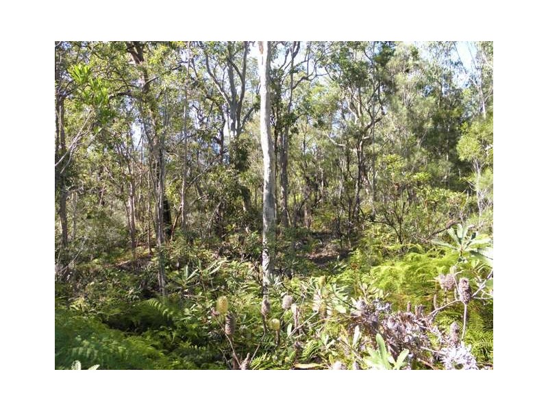 1290 Stockyard Creek Road, Stockyard Creek NSW 2460