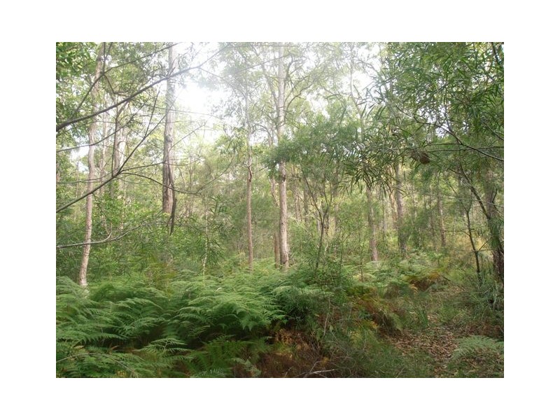 1290 Stockyard Creek Road, Stockyard Creek NSW 2460