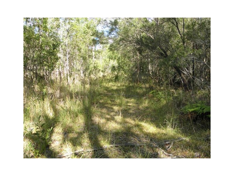1290 Stockyard Creek Road, Stockyard Creek NSW 2460