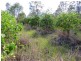 Lot 107 West Lanitza Road, Lanitza NSW 2460