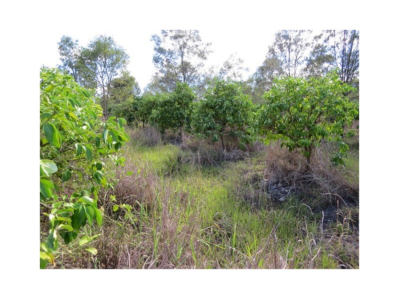 Lot 107 West Lanitza Road, Lanitza NSW 2460