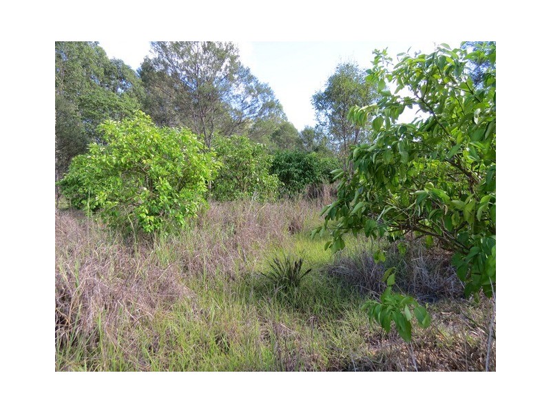 Lot 107 West Lanitza Road, Lanitza NSW 2460
