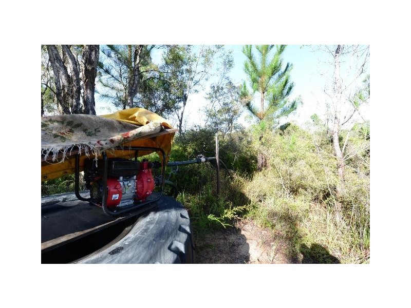 54 Perch Road, Wells Crossing NSW 2460