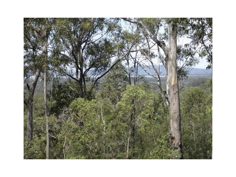 550 Tullymorgan Road, Lawrence NSW 2460