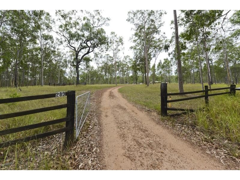289 Whiteman Creek Road, The Whiteman NSW 2460