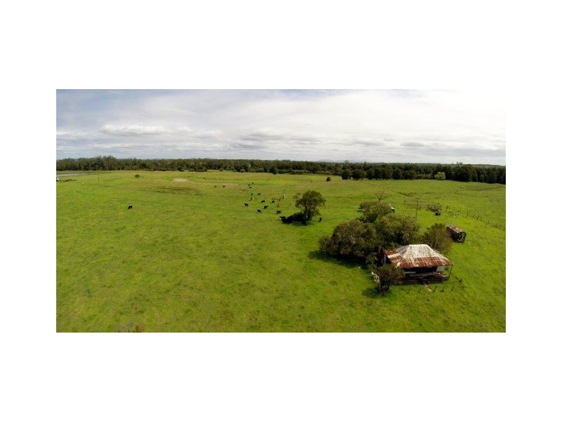 228 Mulquinneys Road, Braunstone NSW 2460