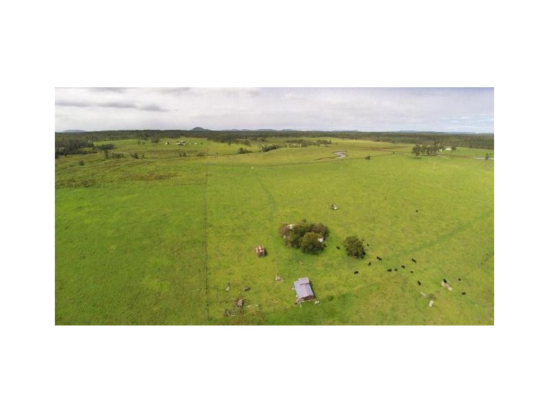 228 Mulquinneys Road, Braunstone NSW 2460