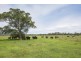 228 Mulquinneys Road, Braunstone NSW 2460