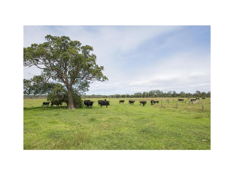 228 Mulquinneys Road, Braunstone NSW 2460