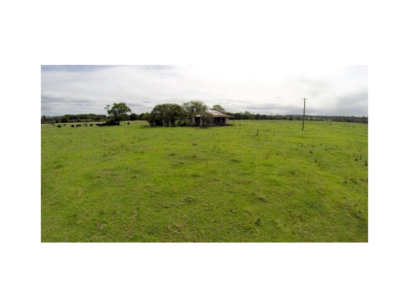 228 Mulquinneys Road, Braunstone NSW 2460