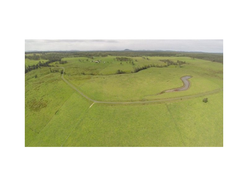 228 Mulquinneys Road, Braunstone NSW 2460