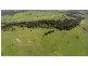 228 Mulquinneys Road, Braunstone NSW 2460