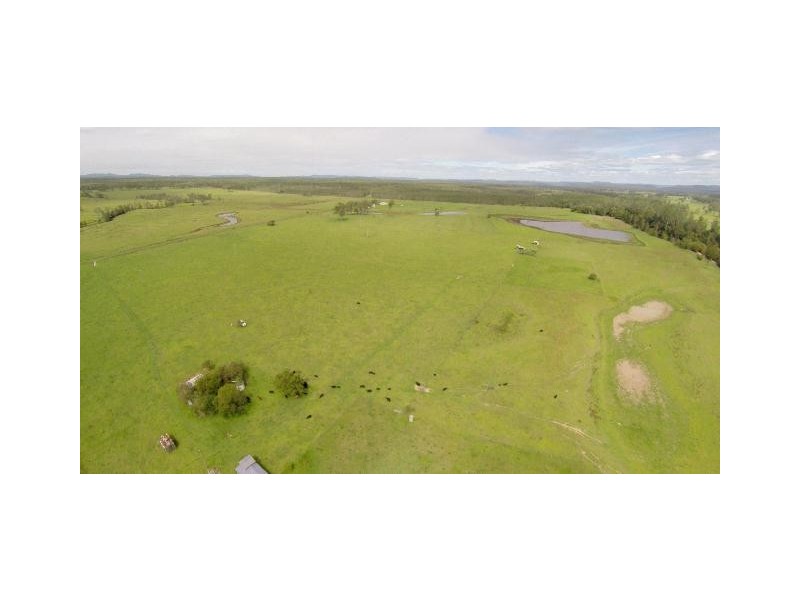 228 Mulquinneys Road, Braunstone NSW 2460