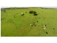 228 Mulquinneys Road, Braunstone NSW 2460