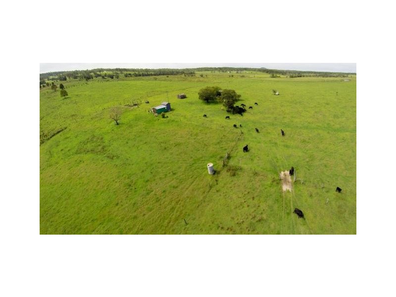 228 Mulquinneys Road, Braunstone NSW 2460