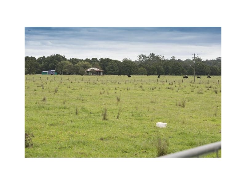 228 Mulquinneys Road, Braunstone NSW 2460