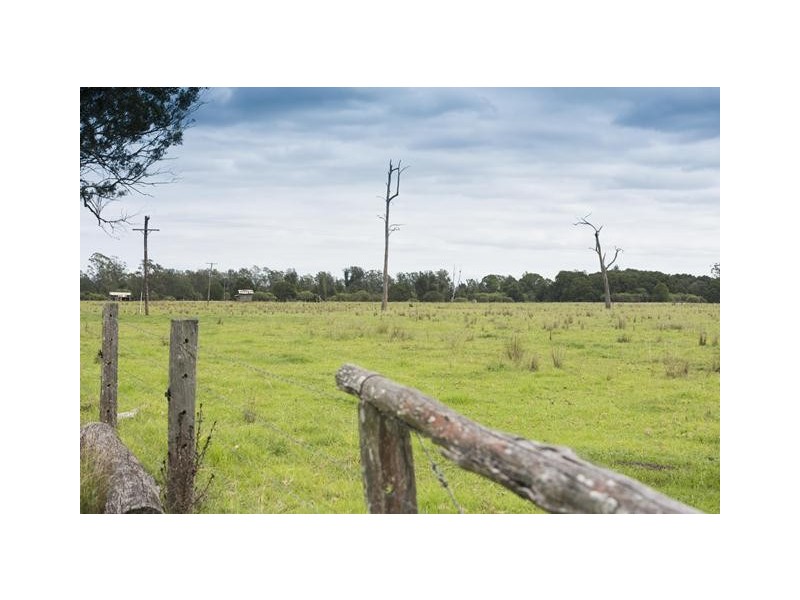 228 Mulquinneys Road, Braunstone NSW 2460