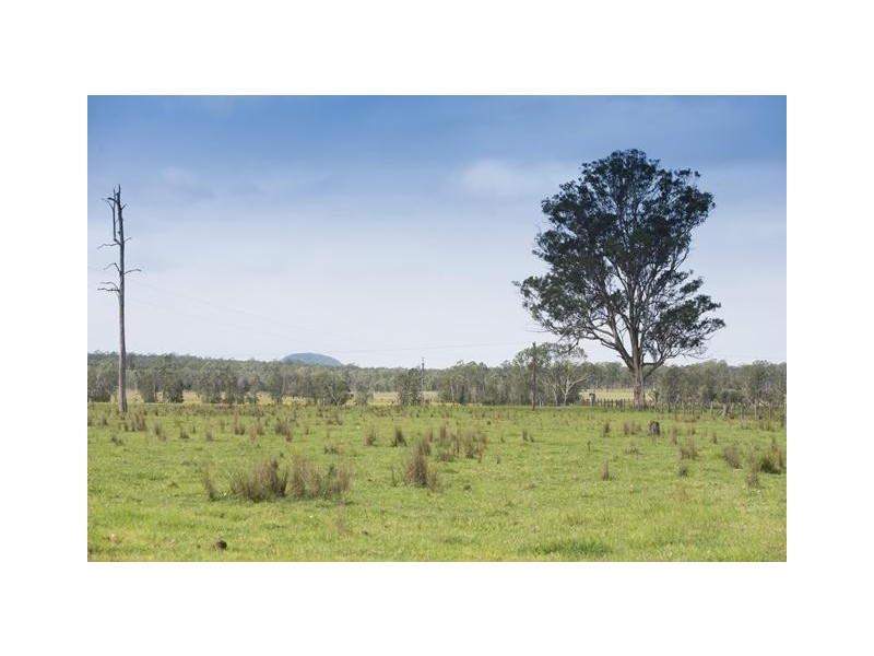 228 Mulquinneys Road, Braunstone NSW 2460
