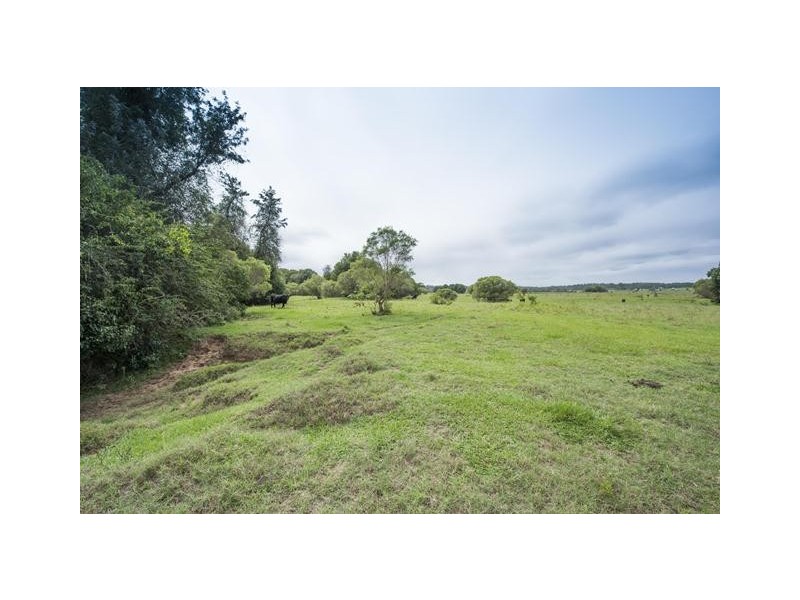 228 Mulquinneys Road, Braunstone NSW 2460