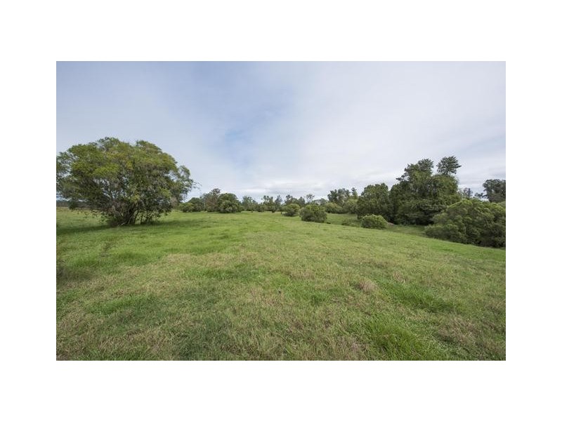 228 Mulquinneys Road, Braunstone NSW 2460