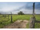228 Mulquinneys Road, Braunstone NSW 2460
