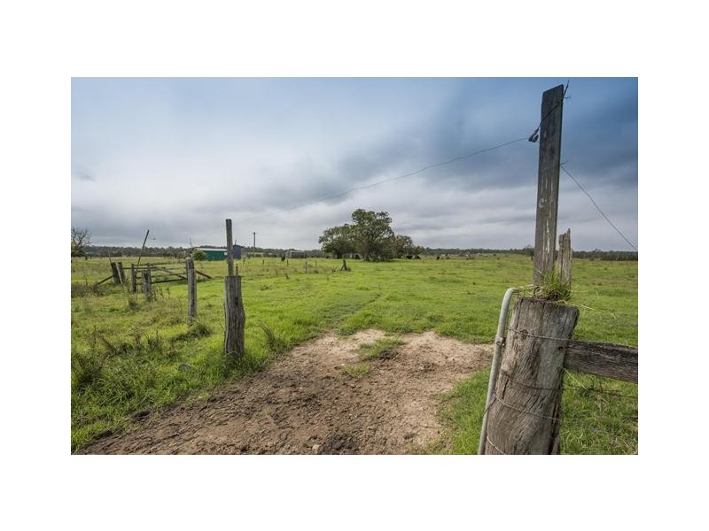 228 Mulquinneys Road, Braunstone NSW 2460