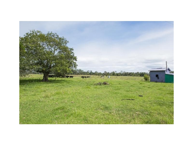 228 Mulquinneys Road, Braunstone NSW 2460