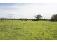 228 Mulquinneys Road, Braunstone NSW 2460