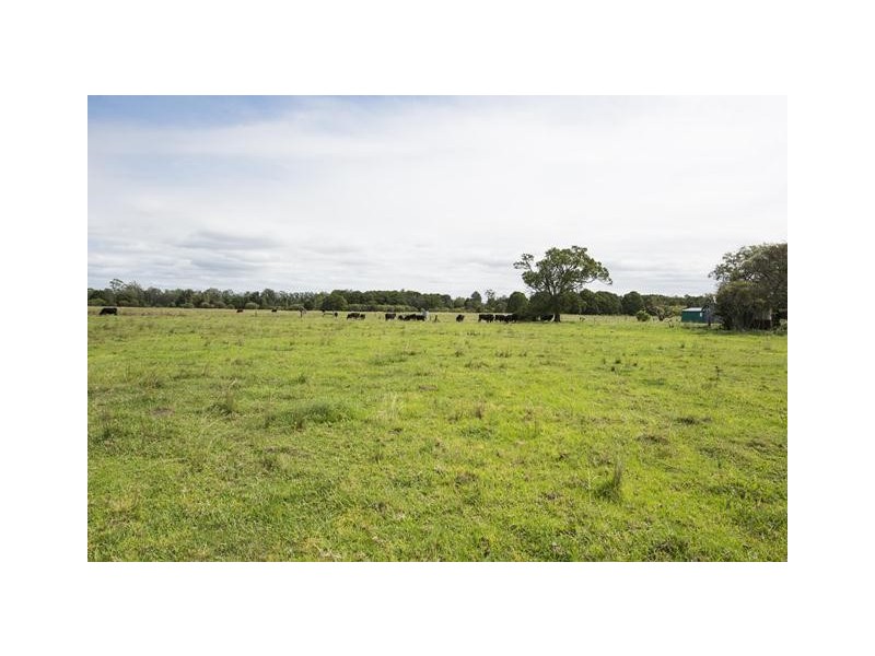 228 Mulquinneys Road, Braunstone NSW 2460