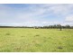 228 Mulquinneys Road, Braunstone NSW 2460