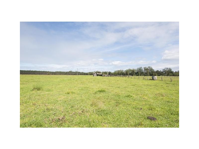 228 Mulquinneys Road, Braunstone NSW 2460