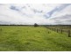 228 Mulquinneys Road, Braunstone NSW 2460