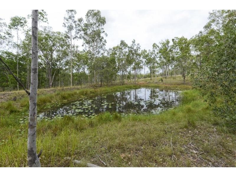289 Whiteman Creek Road, The Whiteman NSW 2460