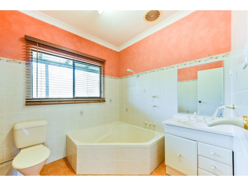 289 Whiteman Creek Road, The Whiteman NSW 2460