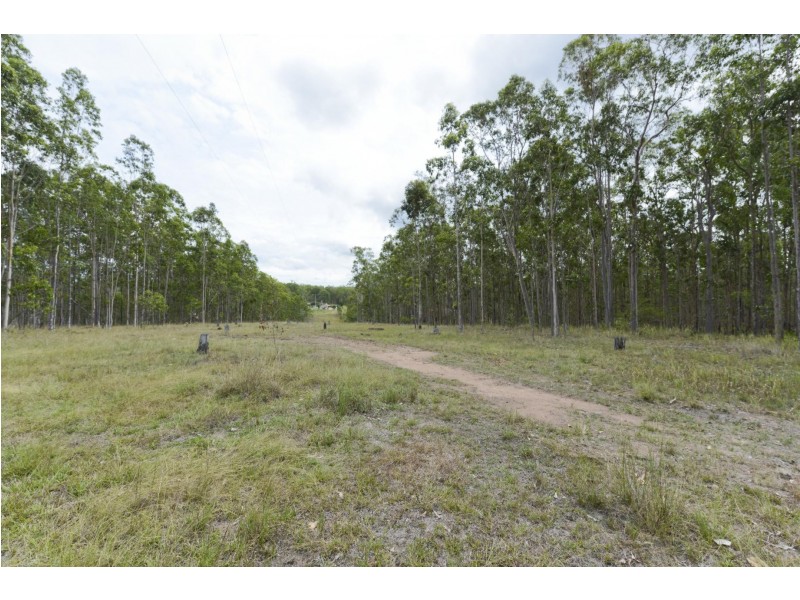 289 Whiteman Creek Road, The Whiteman NSW 2460