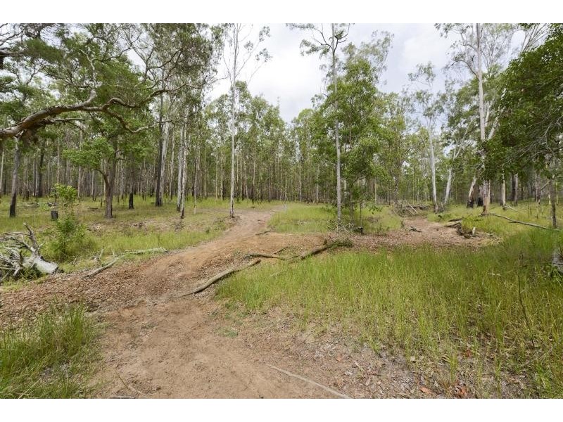 289 Whiteman Creek Road, The Whiteman NSW 2460