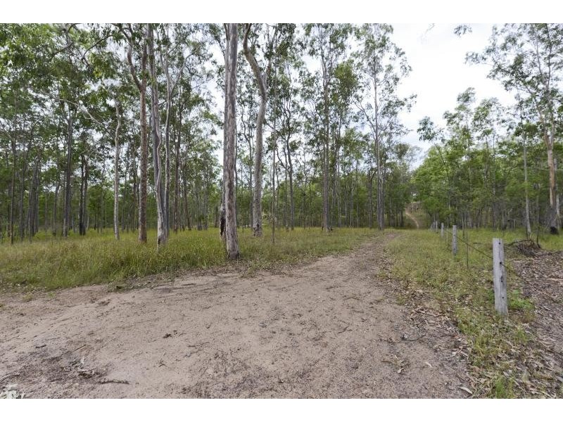 289 Whiteman Creek Road, The Whiteman NSW 2460