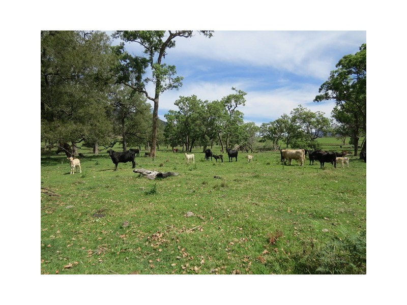 9427 Old Grafton Road, Newton Boyd NSW 2370