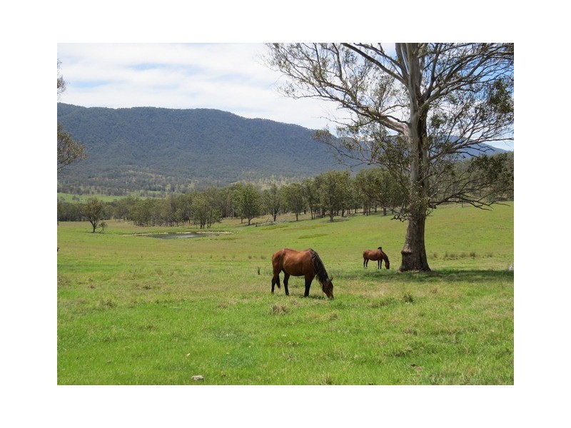 9427 Old Grafton Road, Newton Boyd NSW 2370 Elders Real Estate