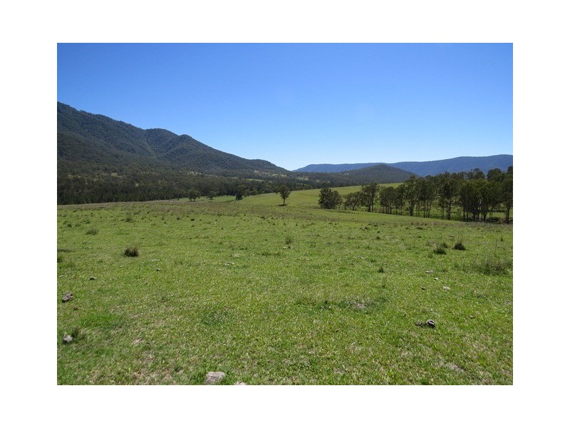 9427 Old Grafton Road, Newton Boyd NSW 2370 Elders Real Estate