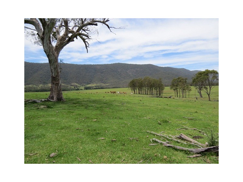 9427 Old Grafton Road, Newton Boyd NSW 2370