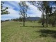 9427 Old Grafton Road, Newton Boyd NSW 2370